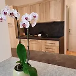 Le Coccinelle *