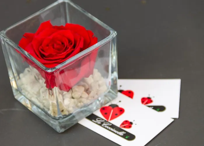 Le Coccinelle Vakantiehuis *