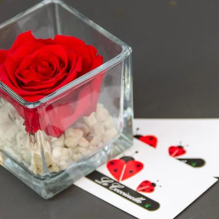 Le Coccinelle Hébergement de vacances *