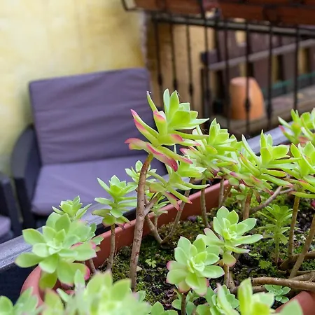 Hébergement de vacances Le Coccinelle